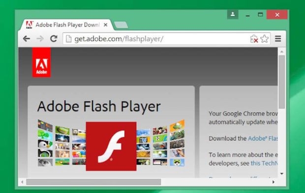 Adobe flash player download for chrome